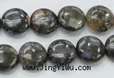 COP270 15.5 inches 14mm flat round natural grey opal gemstone beads