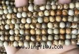 CPJ659 15.5 inches 6mm round picture jasper beads wholesale
