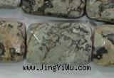 CPT131 15.5 inches 20*30mm faceted rectangle grey picture jasper beads