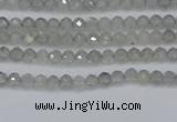 CRB1936 15.5 inches 2*3mm faceted rondelle labradorite beads