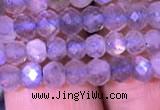 CRB1981 15.5 inches 3*5mm faceted rondelle labradorite beads