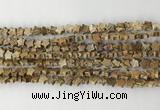 CRG33 15.5 inches 6mm flat star picture jasper beads wholesale