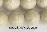 CRJ623 15.5 inches 10mm round white fossil jasper beads wholesale