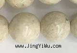 CRJ624 15.5 inches 12mm round white fossil jasper beads wholesale