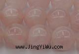 CRQ673 15.5 inches 12mm round rose quartz beads wholesale