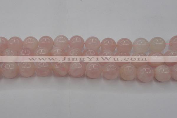 CRQ674 15.5 inches 14mm round rose quartz beads wholesale