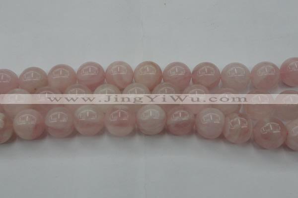 CRQ675 15.5 inches 16mm round rose quartz beads wholesale