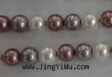 CSB1036 15.5 inches 8mm round mixed color shell pearl beads