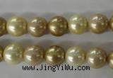 CSB1069 15.5 inches 10mm round mixed color shell pearl beads
