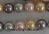 CSB1093 15.5 inches 12mm round mixed color shell pearl beads