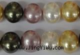 CSB156 15.5 inches 12*15mm – 13*16mm oval mixed color shell pearl beads