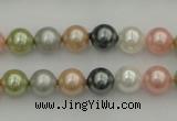 CSB310 15.5 inches 8mm round mixed color shell pearl beads
