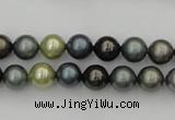 CSB316 15.5 inches 8mm round mixed color shell pearl beads
