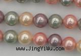 CSB324 15.5 inches 10mm round mixed color shell pearl beads