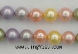 CSB330 15.5 inches 10mm round mixed color shell pearl beads