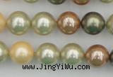 CSB359 15.5 inches 12mm round mixed color shell pearl beads