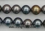 CSB366 15.5 inches 12mm round mixed color shell pearl beads