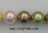 CSB393 15.5 inches 16mm round mixed color shell pearl beads