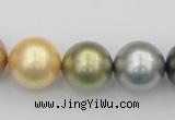 CSB395 15.5 inches 16mm round mixed color shell pearl beads