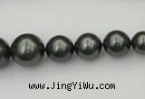 CSB403 15.5 inches 8mm - 16mm round shell pearl beads