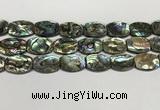 CSB4164 15.5 inches 18*25mm flat drum abalone shell beads wholesale