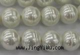 CSB620 15.5 inches 14mm whorl round shell pearl beads