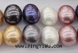 CSB696 15.5 inches 13*15mm oval mixed color shell pearl beads