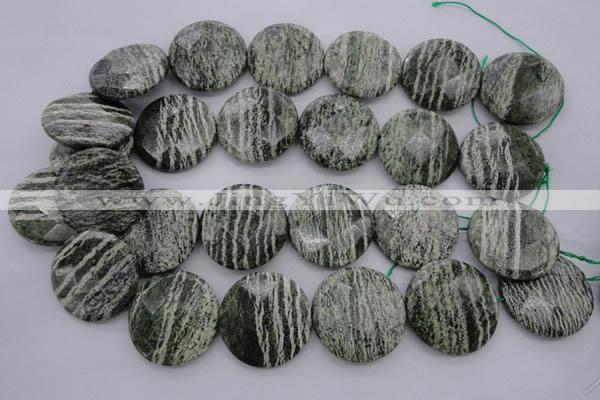 CSJ123 15.5 inches 30mm faceted coin green silver line jasper beads