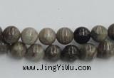 CSL01 15.5 inches 8mm round silver leaf jasper beads wholesale
