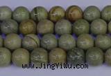 CSL200 15.5 inches 4mm round silver leaf jasper beads wholesale