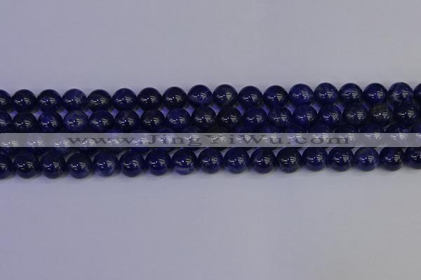 CSO503 15.5 inches 10mm round sodalite gemstone beads wholesale