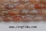 CSS265 15.5 inches 5*8mm rice sunstone beads wholesale