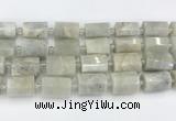 CTB876 13*25mm - 14*19mm faceted tube moonstone beads