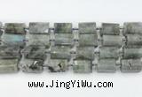 CTB878 13*25mm - 14*19mm faceted tube labradorite beads