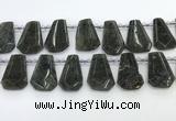CTD2353 Top drilled 16*18mm - 20*30mm faceted freeform labradorite beads