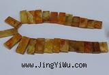 CTD2665 Top drilled 14*27mm - 16*42mm rectangle agate jasper beads