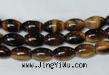 CTE158 15.5 inches 8*12mm rice yellow tiger eye gemstone beads