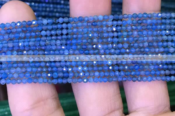 CTG1073 15.5 inches 2mm faceted round tiny apatite beads