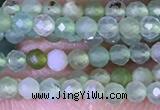CTG1414 15.5 inches 2mm faceted round Australia chrysoprase beads