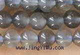 CTG1582 15.5 inches 4mm round grey moonstone beads wholesale