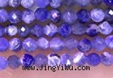 CTG1665 15.5 inches 2mm faceted round tiny sodalite beads