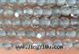 CTG2131 15 inches 2mm,3mm faceted round apatite gemstone beads