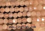 CTG2138 15 inches 2mm,3mm faceted round sunstone gemstone beads