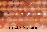 CTG2142 15 inches 2mm,3mm faceted round golden sunstone beads