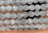 CTG2145 15 inches 2mm,3mm faceted round aquamarine gemstone beads