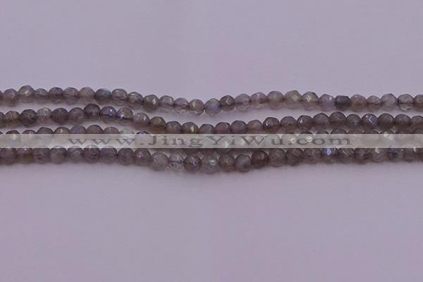 CTG509 15.5 inches 4mm faceted round tiny labradorite beads
