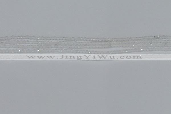CTG603 15.5 inches 2mm faceted round white moonstone beads