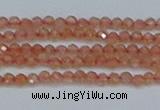 CTG609 15.5 inches 2mm faceted round golden sunstone beads