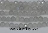 CTG613 15.5 inches 3mm faceted round labradorite beads