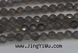 CTG640 15.5 inches 3mm faceted round smoky black obsidian beads